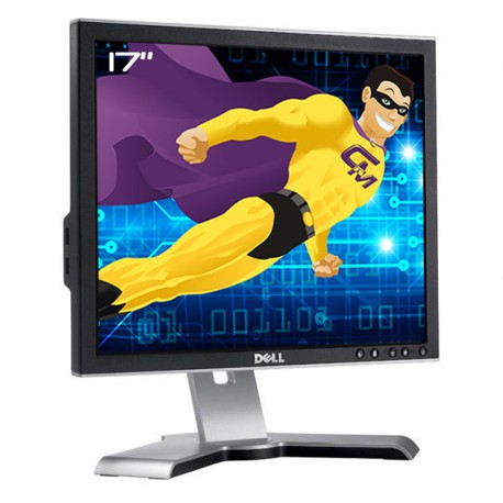 Ecran Plat 17" DELL 1708FPf /1708FPt VGA DVI Hub USB Rotation 90° Pied Pivotant