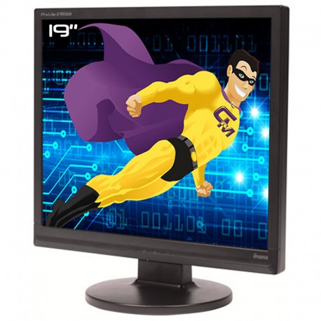 Ecran PC Pro 19" IIYAMA Prolite E1906S PLE1906S-B1 LCD TFT TN VGA DVI VESA 5:4